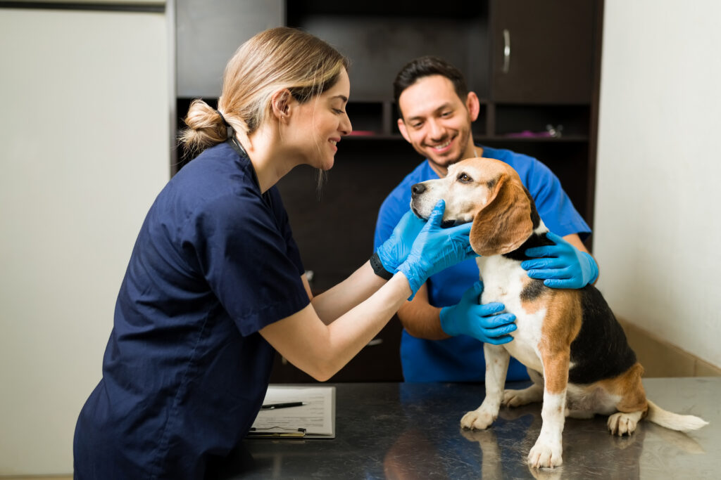 Le Pet Santé