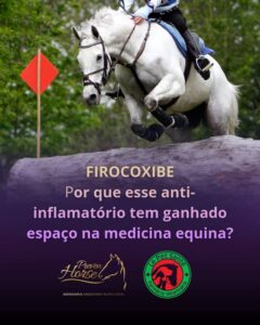 Firocoxibe para cavalos: anti-inflamatório para dor articular em equinos