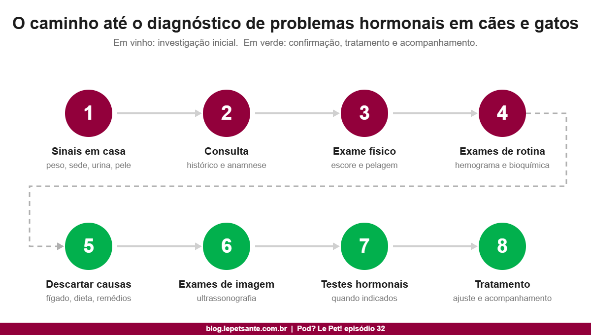 Etapas do diagnóstico de problemas hormonais em cães e gatos, dos sinais em casa aos testes hormonais