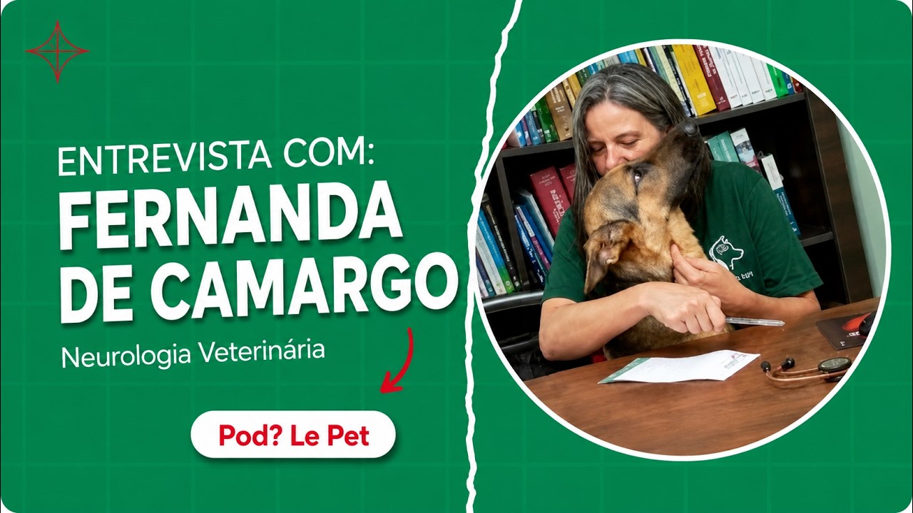 Neurologia veterinária, convulsão e AVC em cães e gatos