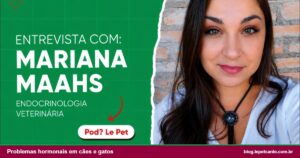 Problemas hormonais em cães e gatos podem causar alterações na pele, peso e comportamento