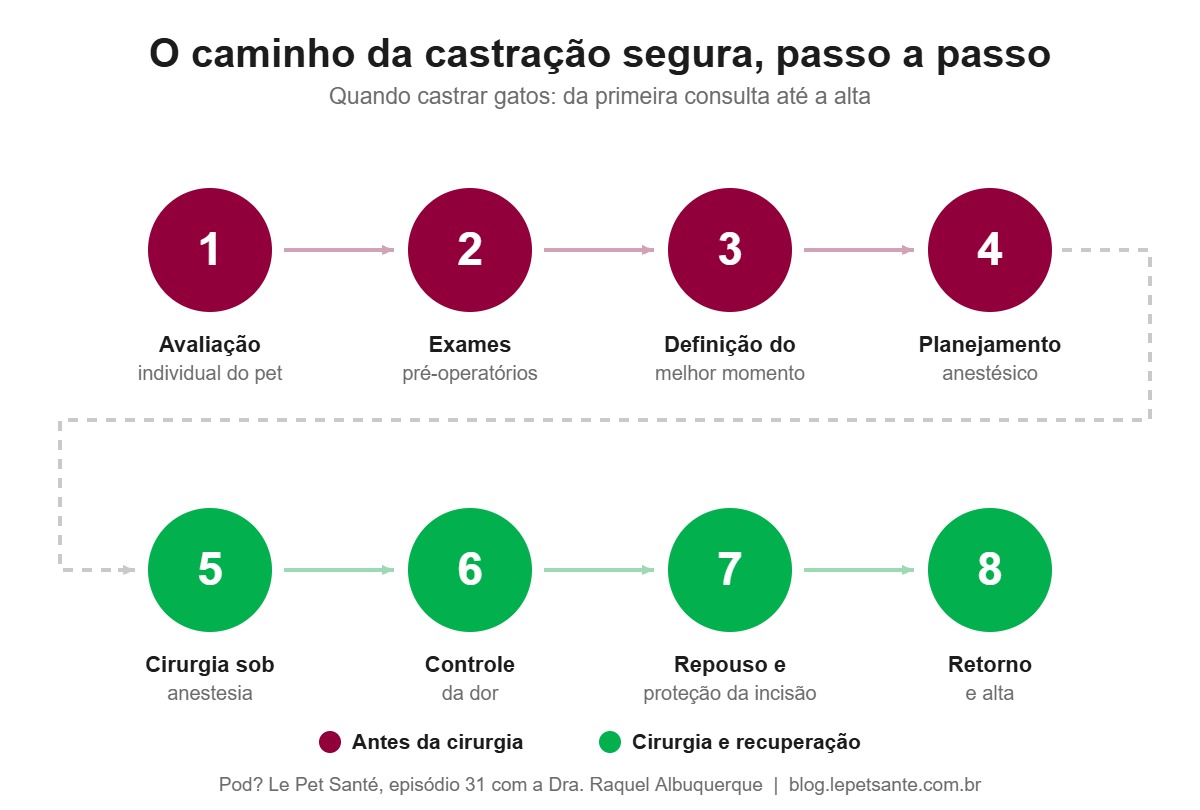 Infográfico com as 8 etapas para decidir quando castrar gatos, da avaliação clínica até a alta do pós-operatório